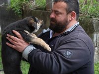 Köpeği masaj ve suni solunumla hayata döndürmenin mutluluğunu yaşıyor