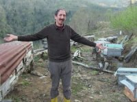 Artvin’in Borçka İlçesinde Ayı Saldırıları Köylüleri Canından Bezdirdi