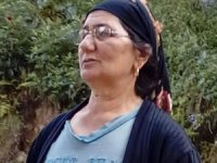 Rize'de Başına Odun Düşen Kadın Hayatını Kaybetti