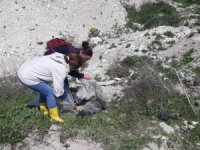 Gömülen 15 Köpek Ve 1 Kedi İçin Belediyeye İdari Ceza