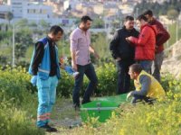 Bu Kelimenin Tek Adamıyla Vahşet !
