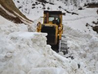 Muş’ta Karla Mücadele Sürüyor