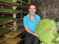 Yem Üretiminde Yeni Yöntem