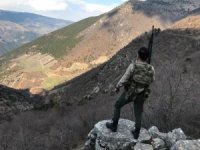 Jandarma Dağı, Taşı Arıyor
