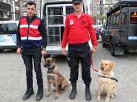 Rize'de Kaybolan İki Çocuğu Bulan Kahramanlar Konuştu
