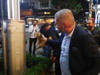 Rize’de Yavru Kedi Operasyonu