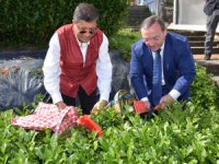 Hindistan Büyükelçisi Bhattacharyya, Rize'de Çay Hasadı Yaptı