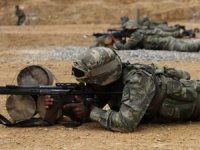 Bitlis-tatvan Kırsalında 4 Terörist Etkisiz Hale Getirildi