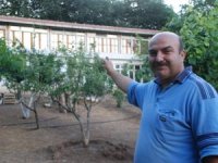 Kümes Hayvanlarına İki Katlı Ev Yaptırdı