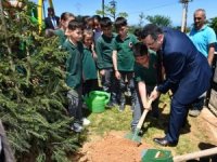 Ortahisar 61 Bin Fidan Dikecek