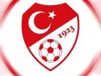 A Milli Futbol Takımı, Yurda Döndü