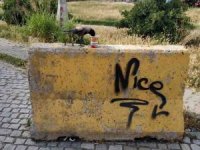 Karganın Çorba Ziyafeti Kamerada