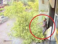 Fırtınada Asırlık Çınar Ağacının Yeni Devrilme Görüntüleri Ortaya Çıktı