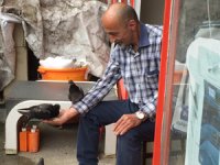 Tufan Usta Güvercinleri Elleriyle Besliyor