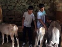 Lgs’de İkizler Türkiye Birincisi Ve İkincisi Oldu