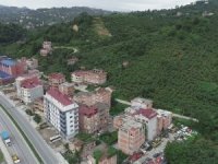 Karadeniz Bölgesi’nde İklim Değişikliği Eylem Planı’nda Yeni Yol Haritası Buradan Başlayacak