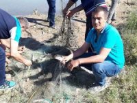 İnci Kefali Av Yasağı Dönemi Sona Erdi