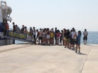 Didim-kos Feribot Seferlerine Yoğun İlgi