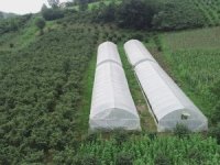 Karadeniz İnsanını Zorluklar Hiç Yıldırmıyor