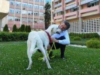 Bakan Selçuk O Tepkilere Cevap Verdi