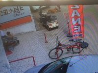 Bu Nasıl Vicdansızlık ! Hamile Kediyi Pitbull’a Yem Yaptı