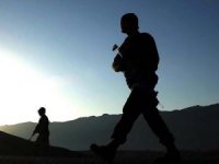 Turuncu Listedeki Terörist Etkisiz Hale Getirildi