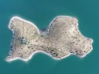 Onun Hayatı Öykülerde Anlatılanlardan Daha Sürükleyici