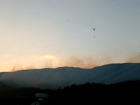 Hatay’daki Orman Yangını Kontrol Altına Alındı