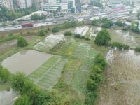 Ataşehir’de Su Basan Seralar Havadan Görüntülendi