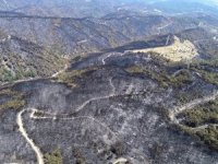 Thk, 45 Milyonluk Hizmet İçin 90 Milyon Teklif Verdi