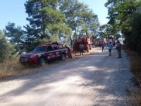 Orman Yangınlarına Kısa Sürede Müdahale Türkiye’yi 1. Sıraya Yükseltti