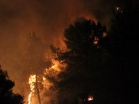 Hatay’da 25 Farklı Noktada Orman Yangını