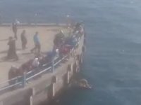 Galata Köprüsü’nde İntihar Girişimi