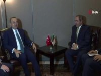 Bakan Çavuşoğlu, İrlanda Ve Cezayir Dışişleri Bakanları İle Görüştü