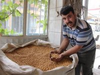 Kula Leblebisi 16 Farklı Çeşidi İle Dünyaya İhraç Ediliyor