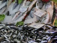 Balık Fiyatları, Beyaz Eti Solladı