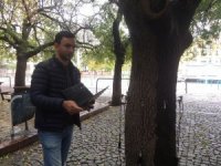 Risk Oluşturan Ağaçlar “Sonik Tomografi” İle Tespit Ediliyor