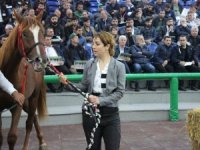 Ev Fiyatına Taylar İçin Kıyasıya Rekabet