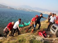 Bodrum’da Korkunç Ölüm
