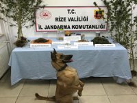 Rize’de Jandarma Suça Geçit Vermiyor