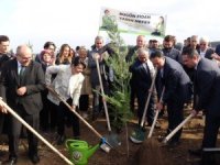 Çanakkale’de 41 Ayrı Noktada 205 Bin Fidan Toprakla Buluştu
