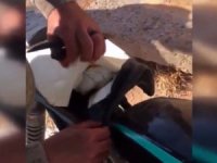 Teröristlerin Tuzakladığı Motosiklet Etkisiz Hale Getirildi