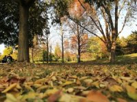 Botanik Park’ta Kartpostallık Sonbahar Manzaraları