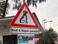Beşiktaş’ın Sokaklarında ‘Kedi Ve Köpek Çıkabilir’ Farkındalığı