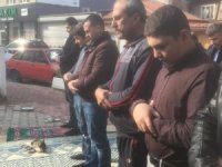 Cami Cemaatinin Kedi Sevgisi Takdir Topladı