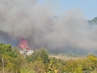 Osmaniye’de Orman Yangını