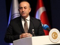 Çavuşoğlu, Interpol Genel Sekreteri Stock İle Görüştü