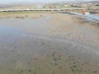 Büyükçekmece Gölü’nde Sular Çekildi, Balçıklar Ortaya Çıktı