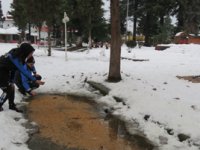 Rize Polisi Sokak Hayvanlarını Unutmadı