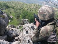 2 Genç Kızı Dağa Kaçırmak İsteyen Teröristler Yakalandı